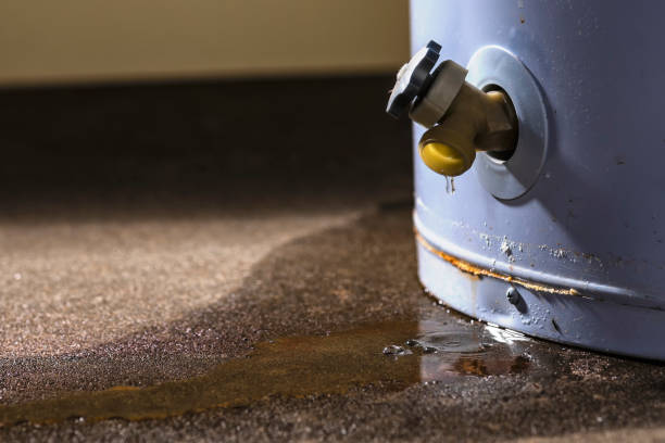 Best Local water damage restoration  in Queens, NY