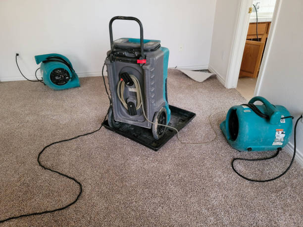 Best 24/7 water damage repair  in Queens, NY