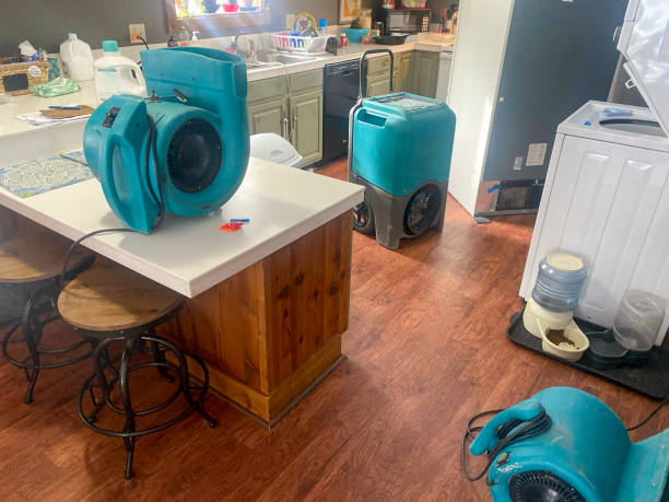 Best 24-hour water damage restoration  in Queens, NY