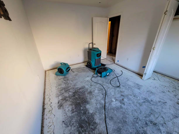 Best Local water damage restoration  in Queens, NY