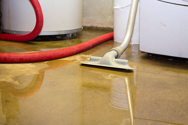Best 24-hour water damage restoration  in Queens, NY
