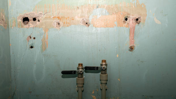Best Professional water damage repair  in Queens, NY